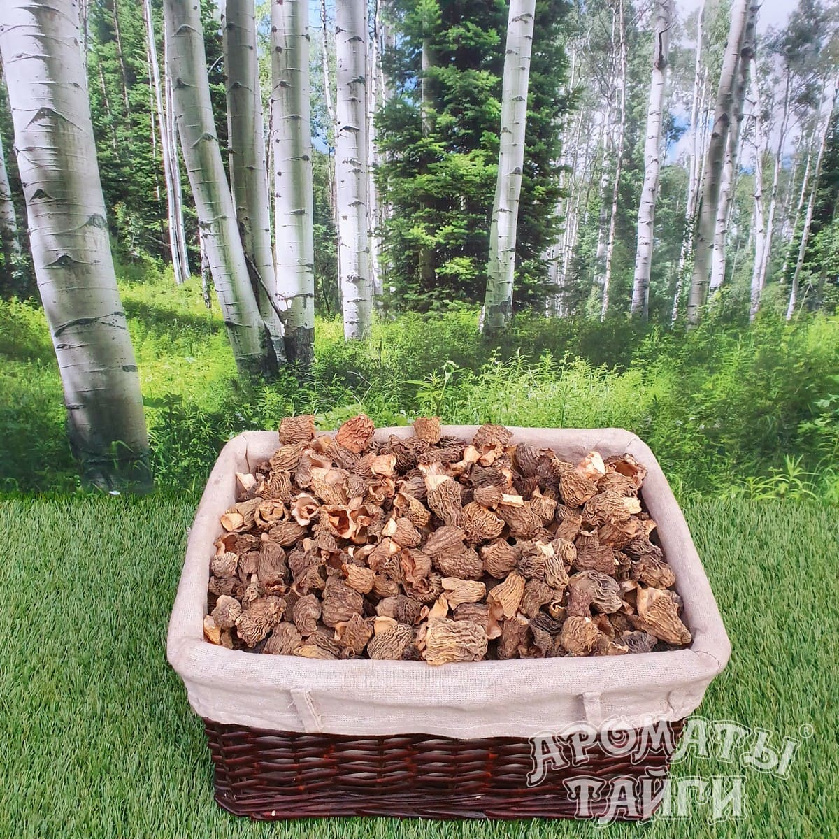 Сморчки (сушеные) 100г